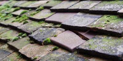 Cyntwell roof repair costs